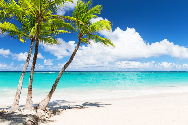 Aya Healthcare - Tropical Beach